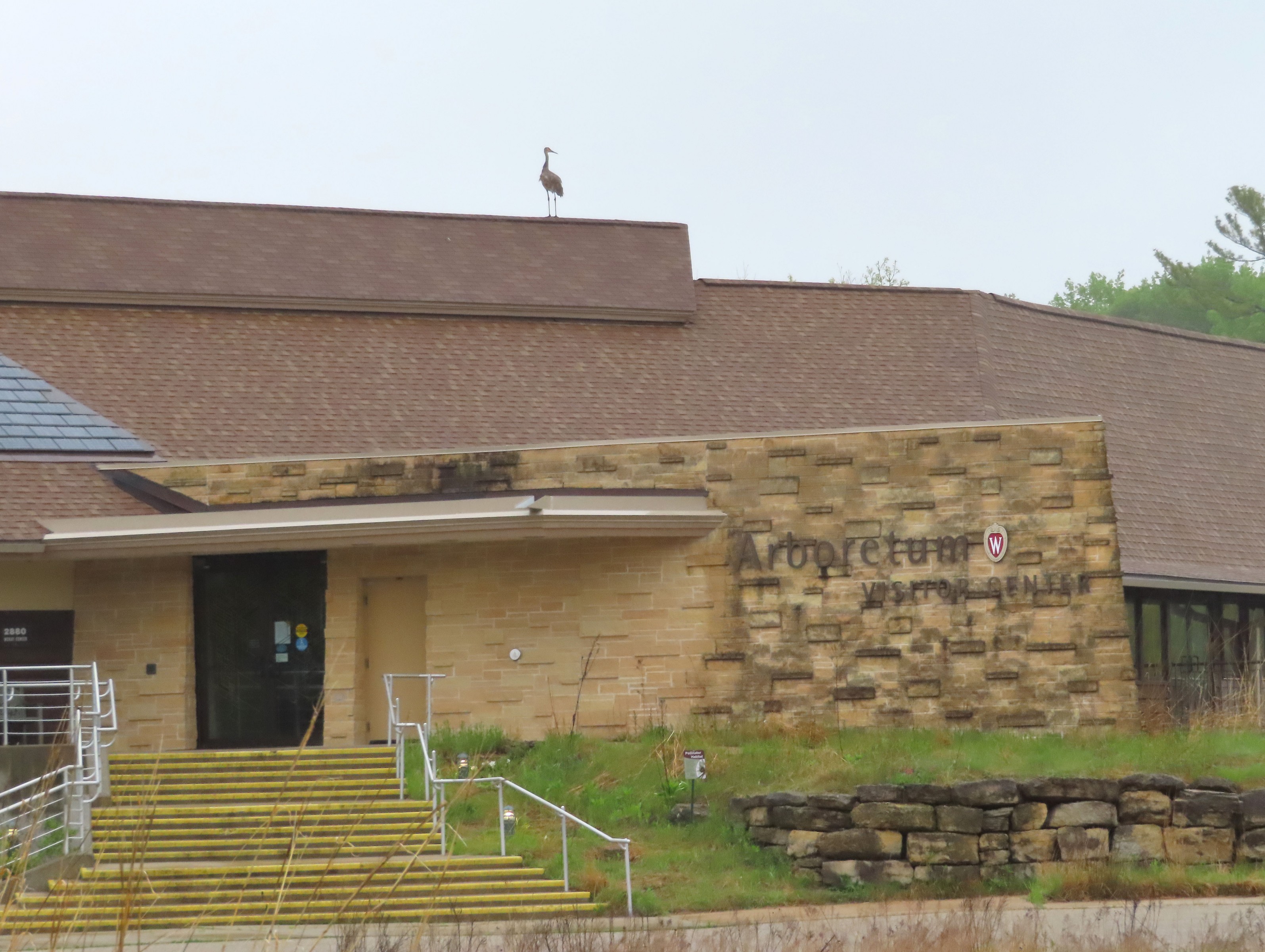 05/26/2020 UW Madison Arboretum Visitor Center & Sandhill Crane